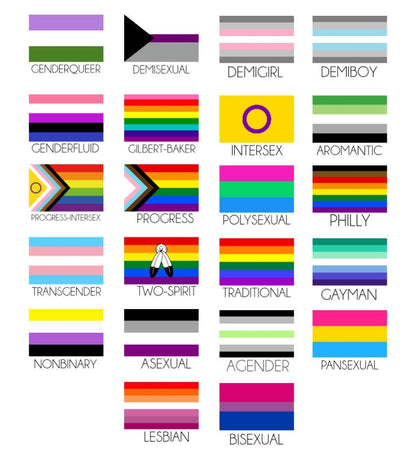 LGBTQ+ Pride Flag Stickers | Gay Pride | Lesbian | Trans | Bisexual | Non-Binary | Polysexual | Asexual | Laptop Sticker Vinyl Decal Phone